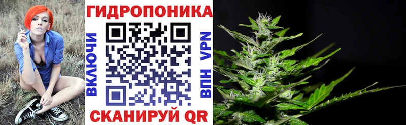 Бошки марихуана SATIVA & INDICA  Нюрба 